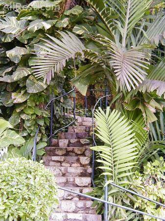 Sans Souci Hotel & Spa 12
